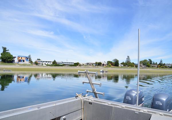 View of Deep Bay from research vessel