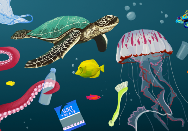 Garbage in the water