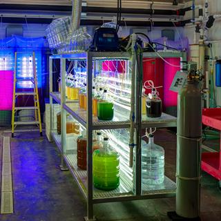 Algae Laboratory