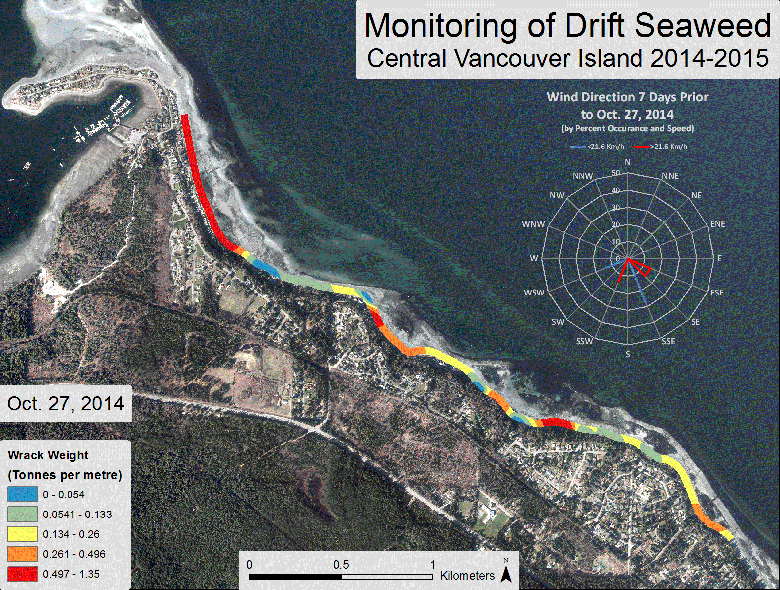 Monitoring seaweed (volume): Deep Bay Monitoring seaweed (volume): Deep Bay