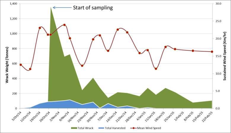 Monitoring seaweed: Deep Bay Monitoring seaweed: Deep Bay