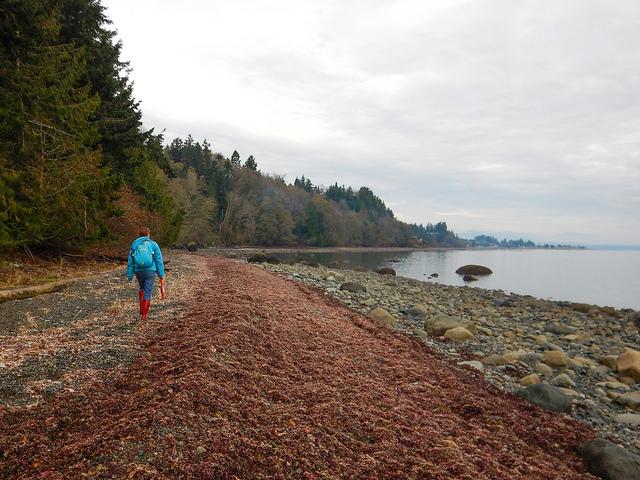 VIU Deep Bay VIU Deep Bay