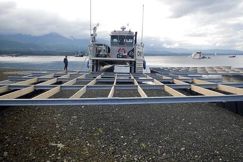 Assembly of NextGen shellfish raft Assembly of NextGen shellfish raft