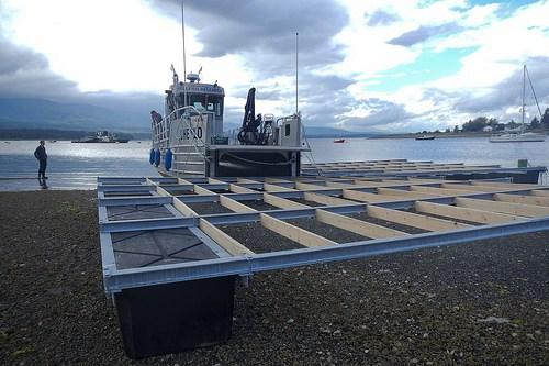 Assembly of NextGen shellfish raft Assembly of NextGen shellfish raft