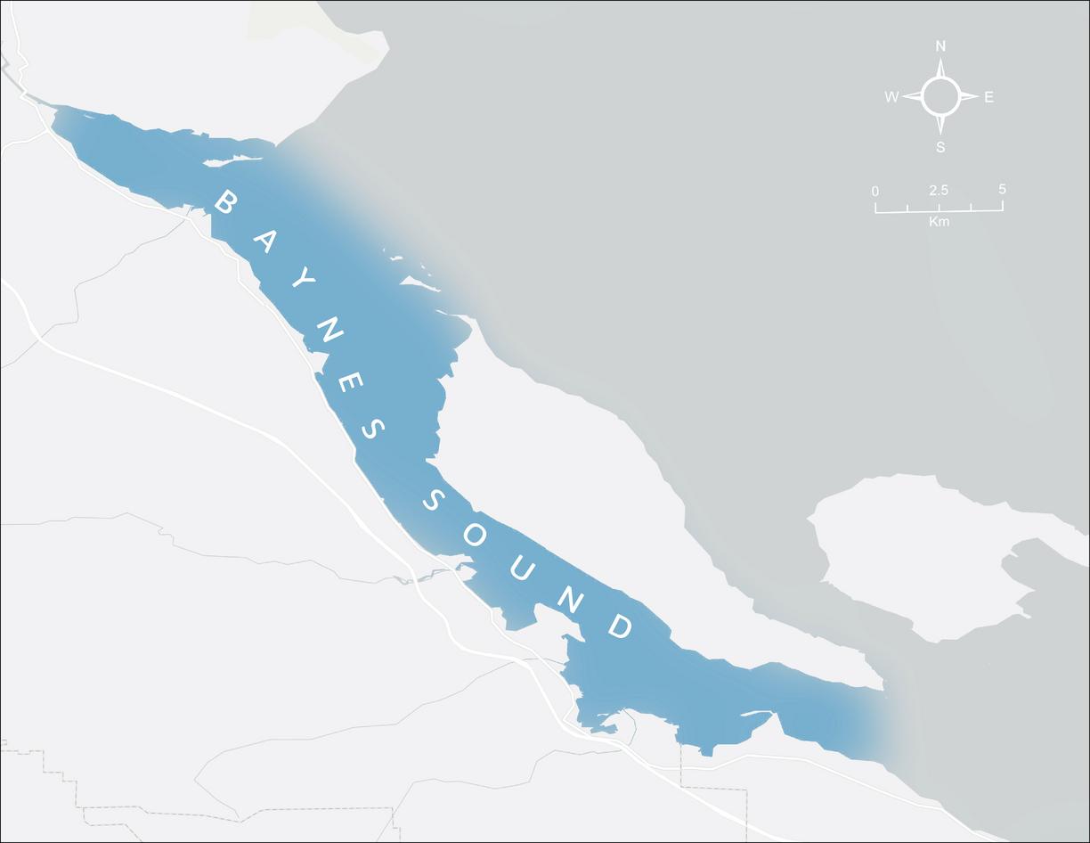 a grey and white map with Baynes Sound highlighted in blue
