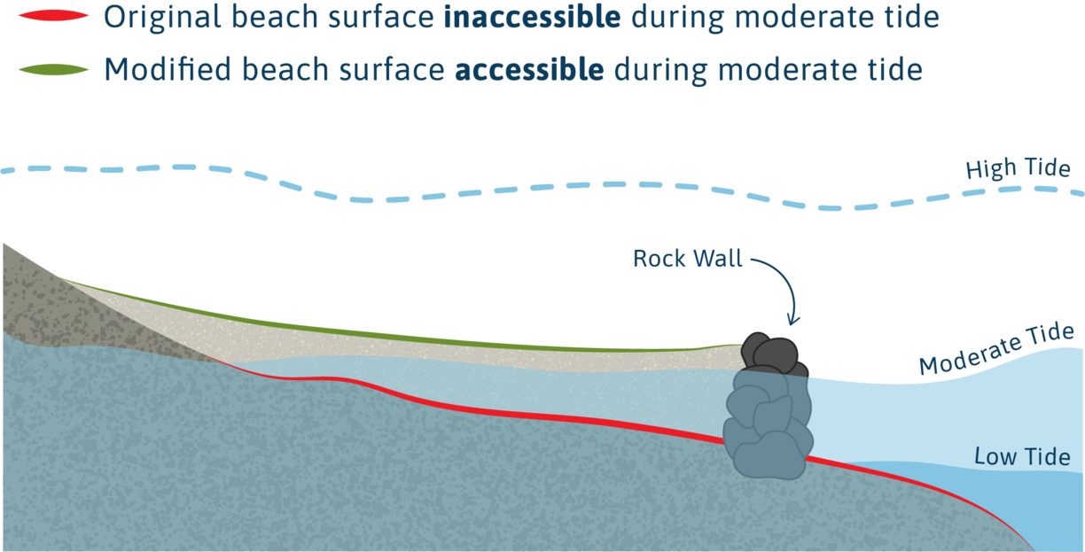 diagram showing how a clam garden is made and that it is accessible during a moderate tide
