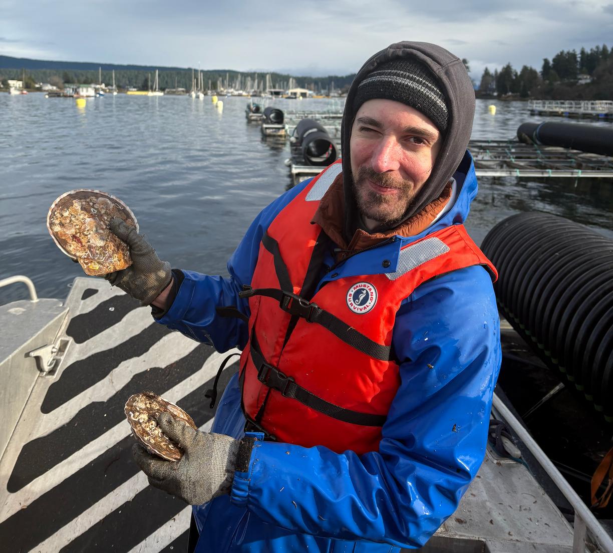 a male researcher holding a large scallop shell