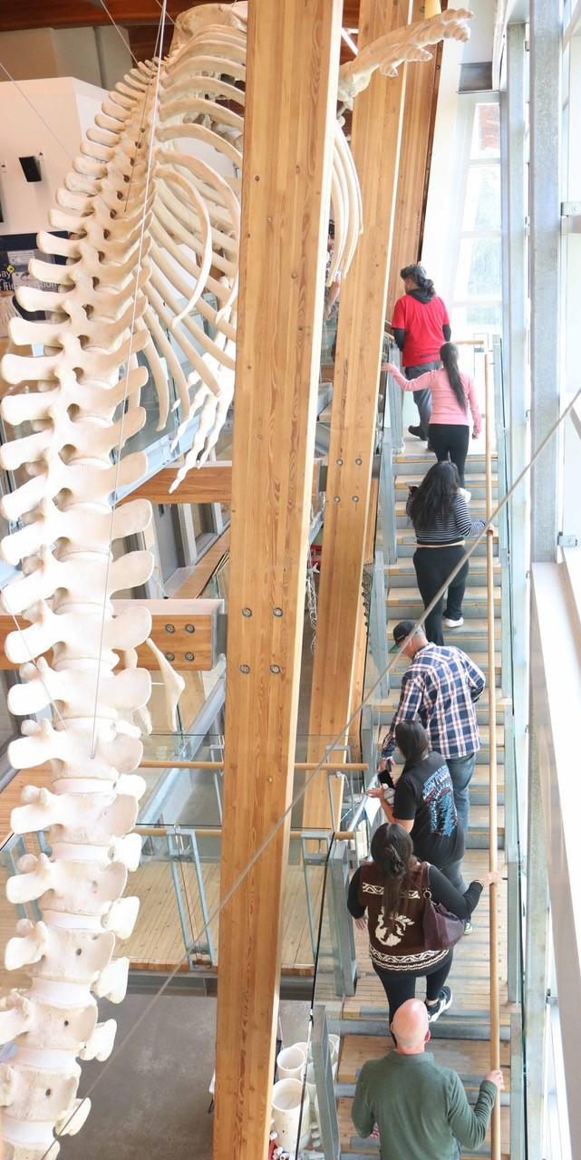 Entrepreneurs climbing the stairs at Deep Bay Marine Field Station