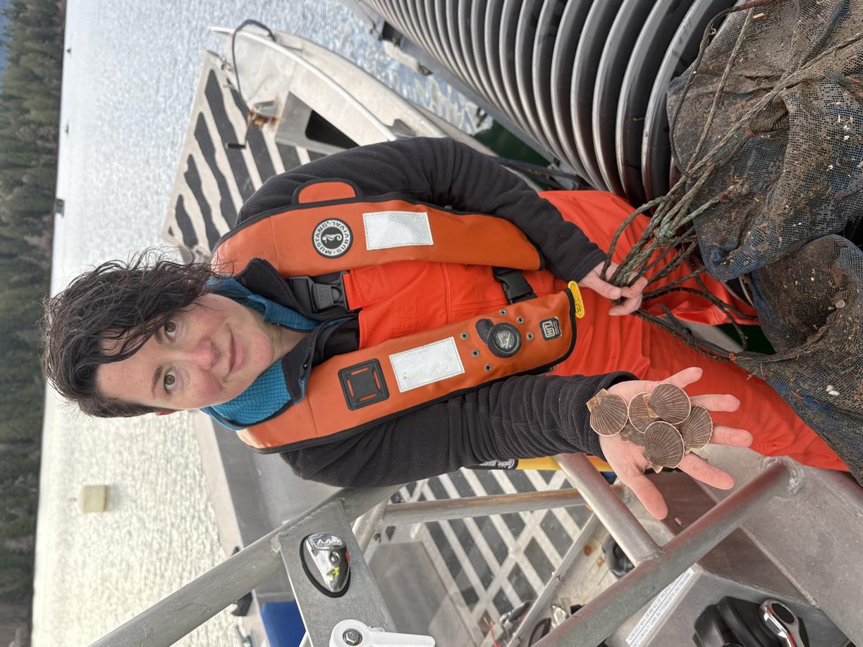 a female researcher in a life vest holding scallops in her hand