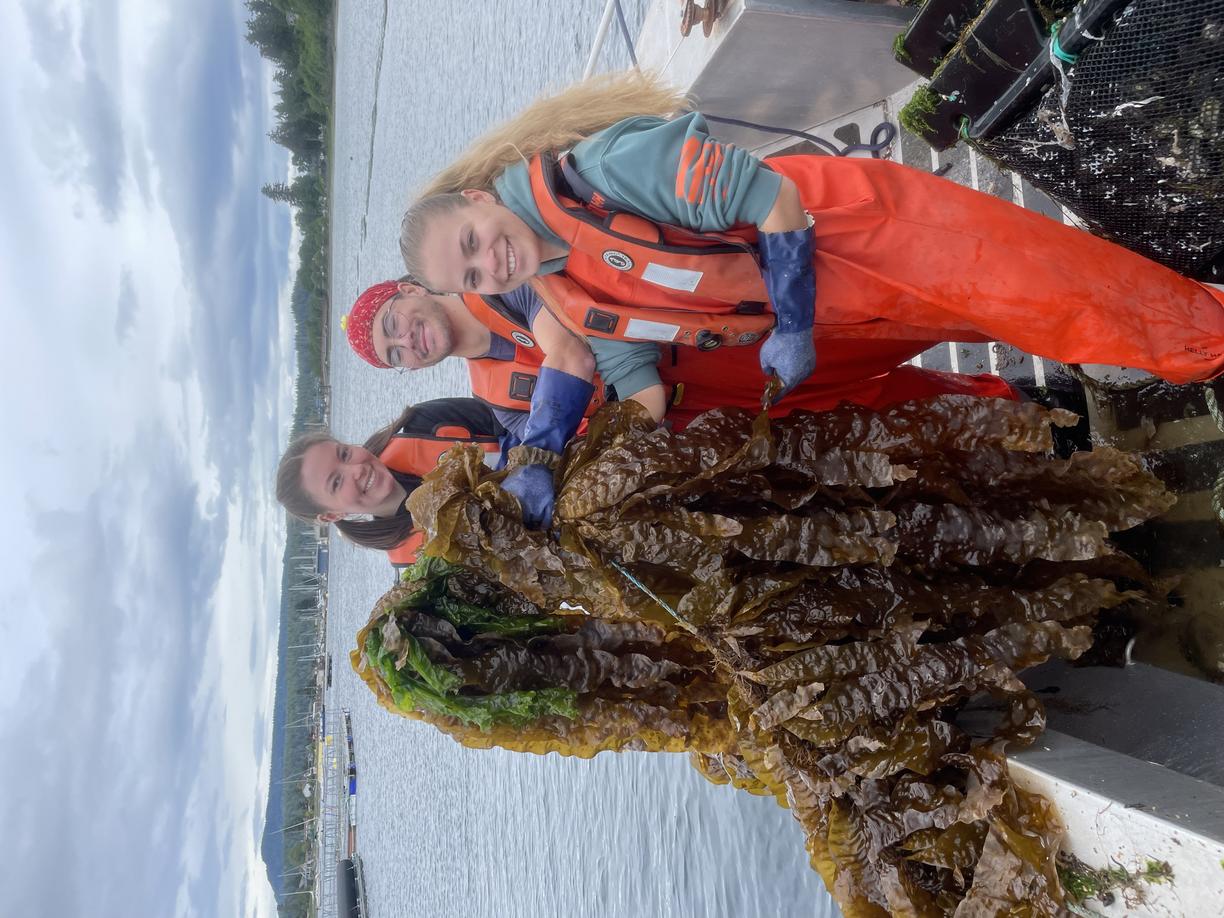 summer students holding a bunch of green and brown seaweed
