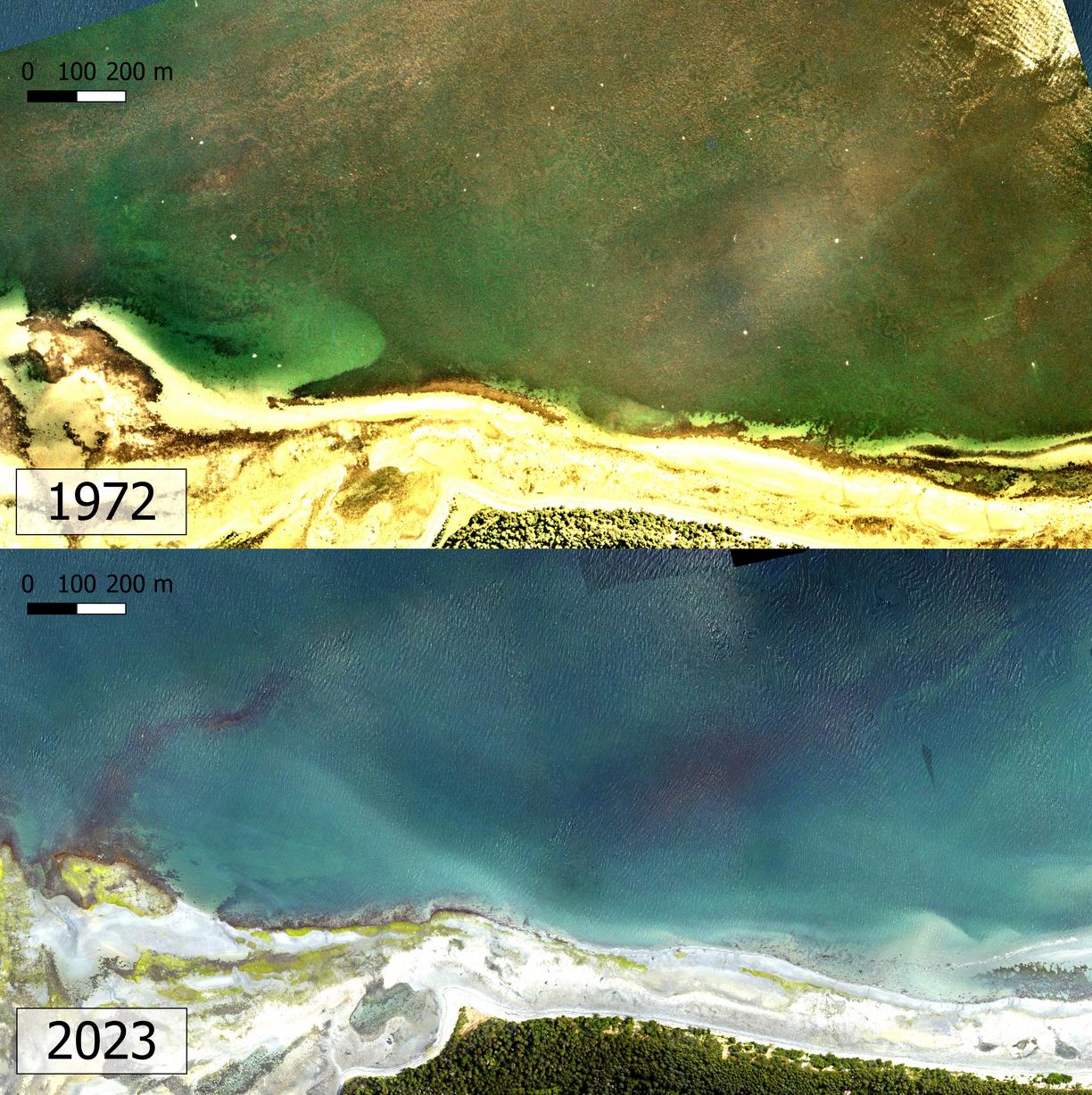Aerial images showing kelp present in 1972 and no kelp present in 2023.