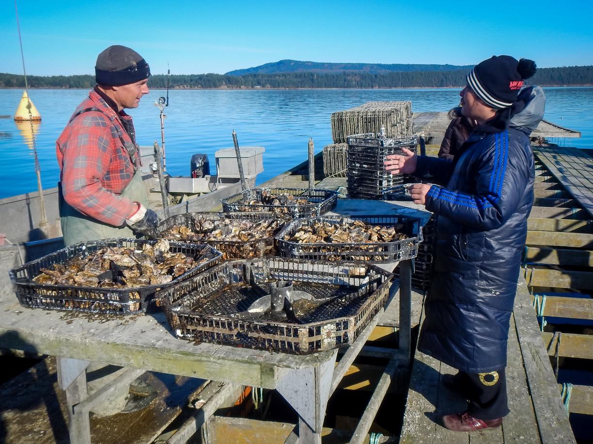 Two men talking over oyster baskets on a floating wooden dock. 