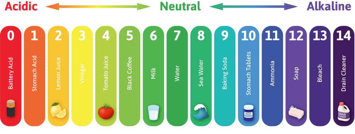 pH diagram showing the range of pH values from zero to fourteen. 