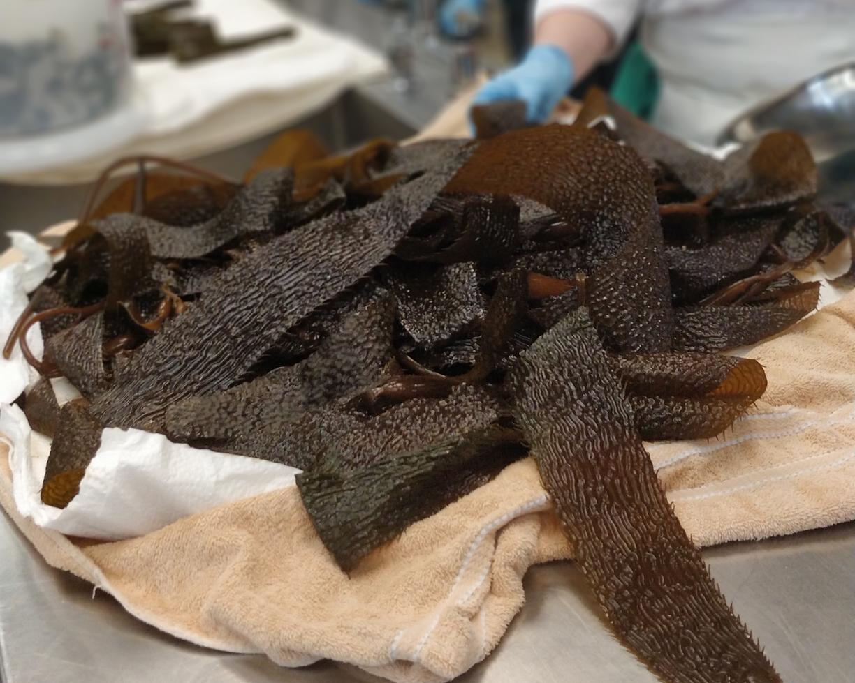 A pile of seaweed in the culinary kitchen