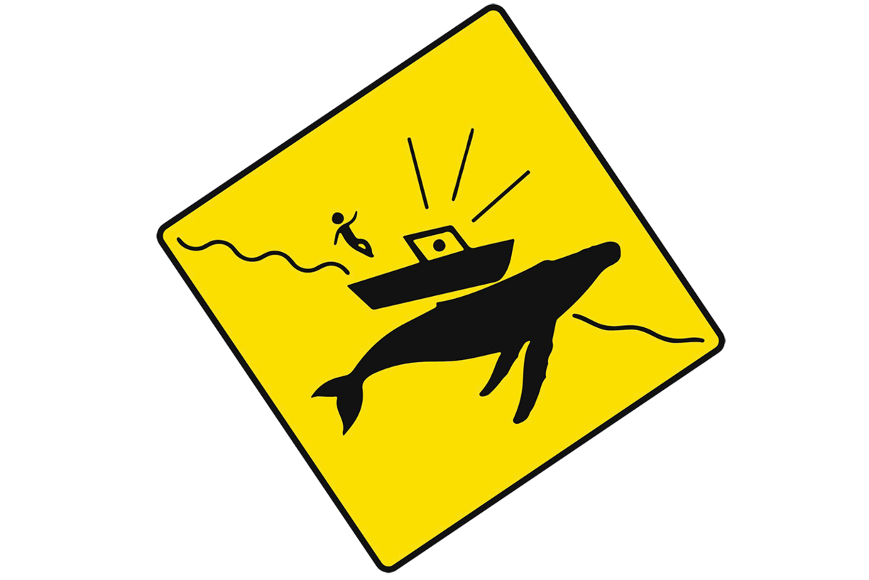 Icon of a whale breaching under a boat