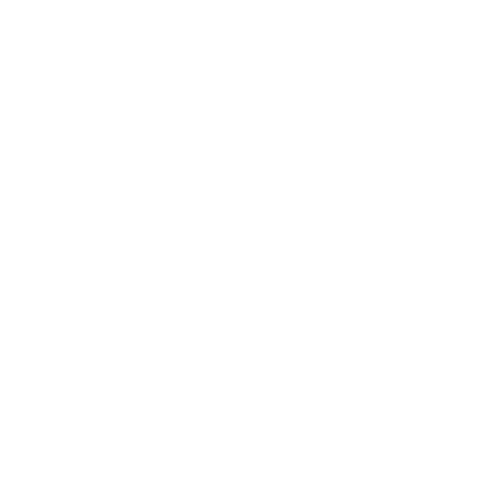 Whale Icon