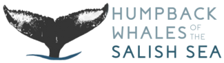 Humpback whales of the Salish Sea logo depicting a whale tail