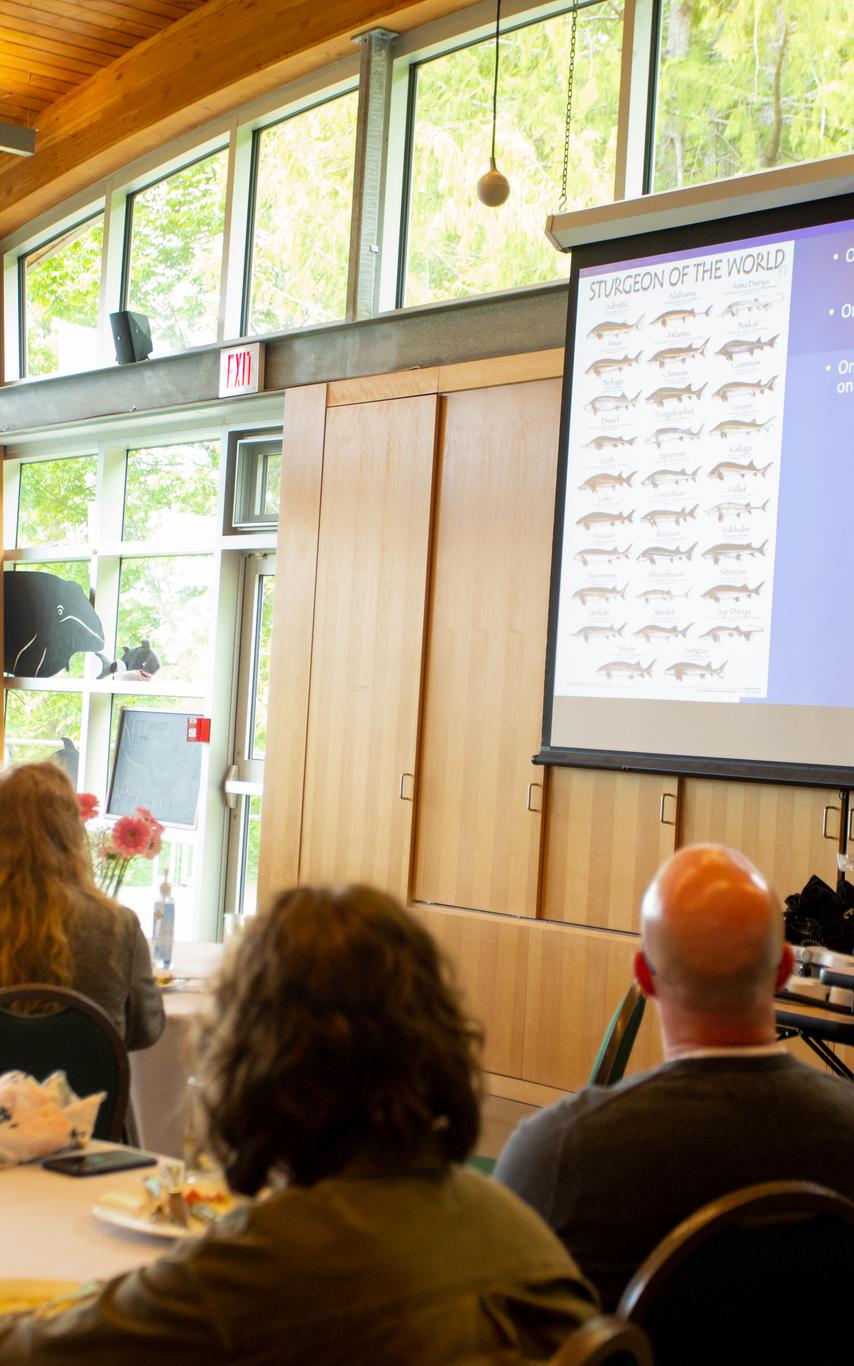 Man giving presentation about sturgeon